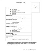 Prosty ładny szablon CV