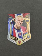 Karty kolekcjonerskie panini