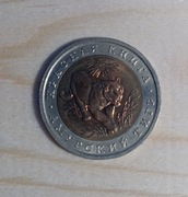 Tygrys. Czerwona Ksiega Rubli. Rzadkość