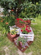 Drewniane Skrzynki Ozdobne na Kwiaty | Kwietnik Balkon / Ogrod