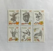 Łowiectwo Fi 2602- 7* 1981 r