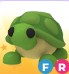 Roblox Adopt Me FR Turtle