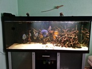 Akwarium 576 L 160/60/60