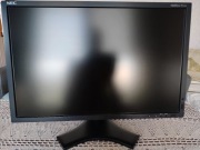 NEC P221W  monitor