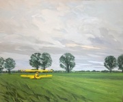 Obraz olejny 100x120 T.Kossak Tiger Moth