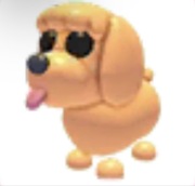 Toy Poodle - Adopt Me Roblox