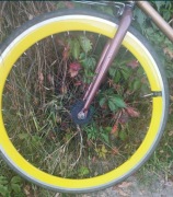 Koło ostre, fixie Ryde 