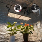 Quantum Board LED grow box fitolampa dla roślin