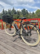 Batavus equip cargo elektryk 