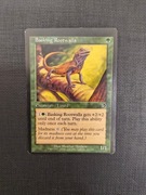 Wyprzedaż MTG - Basking Rootwalla Misscut