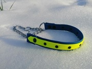 obroża martingale z taśm pvc