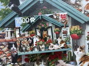 Puzzle Jumbo 1000 Cats On The Roof (-2)