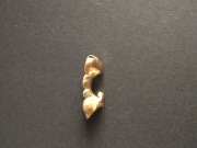 Zabytek Stare złote korony dentystyczne do napraw jubil waga 2,411 p. 750