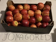 Owoce i Warzywa Jabłka i Gruszka