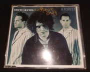 Blank & Jones Feat. Robert Smith A Forest CD 2003