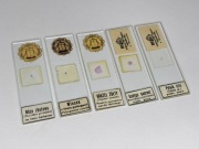 Preparaty mikroskopowe czasów PRL Unikat