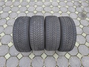 Opony zimowe Dębica Frigo HP2 205/45 R17 2024 r.