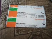 Plaster Opatrunek Bactigras