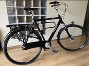 Gazelle Orange C7 H61