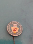 WOJSKA LOTNICZE AKTYWISTA KULTURY