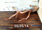 Korzeń do akwarium, terrarium. Premium. Preparowany.Gotowy do użycia.Opis!!