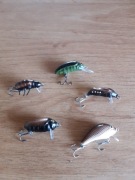 Woblery smużaki          .