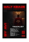 Plakat w ramce Album Mały Książe Avi - A1 A2 A3 A4