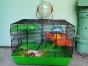 Klatka dla myszy, chomika + akcesoria 