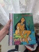 Segregator disney pocahontas a4