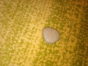 Kamień ozdobny krzemień minerał czert wiedźmi kamień wiedźmy talizman