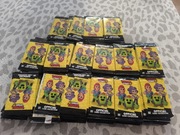 5 kart - 1 saszetka z kartami BRAWL STARS 2025