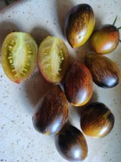 Kolekcjonerski pomidor Brads atomic grape