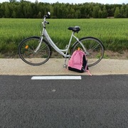 Rower miejski Mustang aluminiowy Shimano Nexus 3 biegi