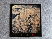 Wielkopolska 1995 - rzeka Warta - Zagórów - stare zdjęcie lotnicze KODAK