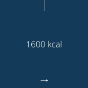Dieta 1600kcal