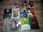 RÓŻNE OBCOJĘZYCZNE KOMIKSY 11 SZTUK
