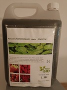 Naturalny nawóz z POKRZYW 10L