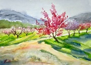 Kwiat brzoskwini originalna akwareli A4