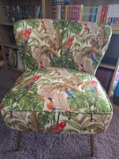 Fotel wypoczynkowy w papugi