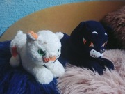 Bonifacy i filemon maskotki Axiom