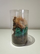 Tuba 9x16 na pająki,skorpiony,modliszki wystrój