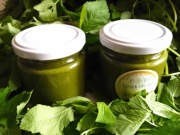 Pesto z podagrycznika słoik 210 ml