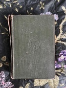 Ocalenie The Rescue Joseph Conrad