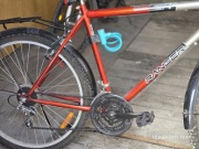 rower trekkingowy męski