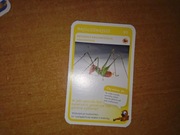 Najgłośniejsze Świerszcz nr 90 Super Zwierzaki Biedronka