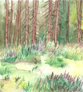 Obraz akwarelowy na papierze