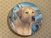 FRANKLIN MINT Talerz ozdobny porcelanowy pies Labrador