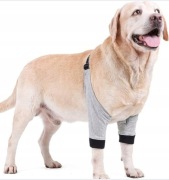 BT BEAR ORTEZA STAWU SKOKOWEGO PRZEDNCH ŁAP DLA PSA 