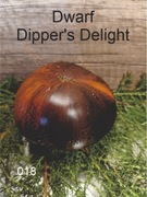 018-Dwarf Dipper's Delight. Pomidory kolekcjonerskie.