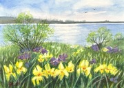 Dzikie irysy na wiosnę 30x40cm original Akwarela